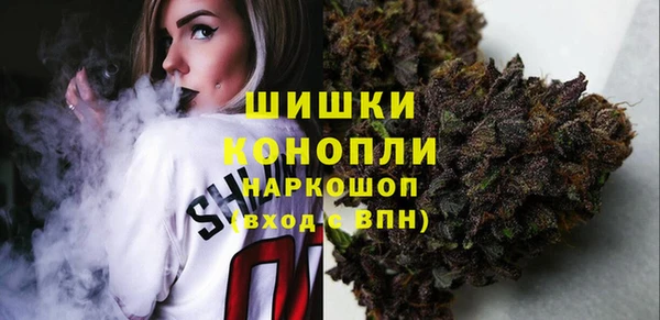 ПСИЛОЦИБИНОВЫЕ ГРИБЫ Алексеевка