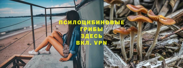 ПСИЛОЦИБИНОВЫЕ ГРИБЫ Алексеевка