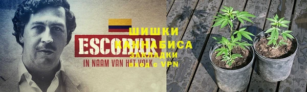 трава Абаза
