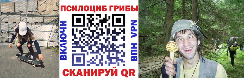 Галлюциногенные грибы Psilocybine cubensis  продажа наркотиков  Грозный 